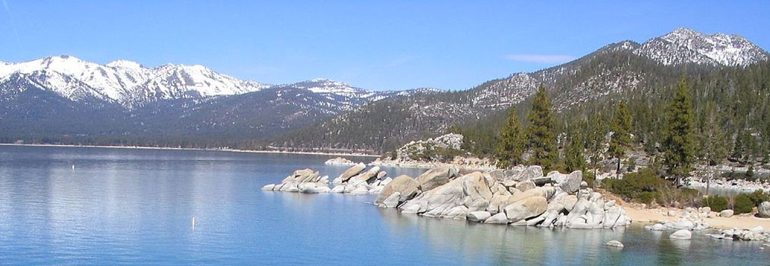Reno Tahoe Event Florist