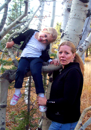 Reno Tahoe Event Florist Sheila Risi